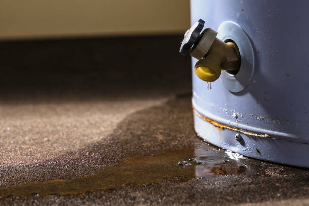 Best Water damage restoration near me  in Coalfield, TN