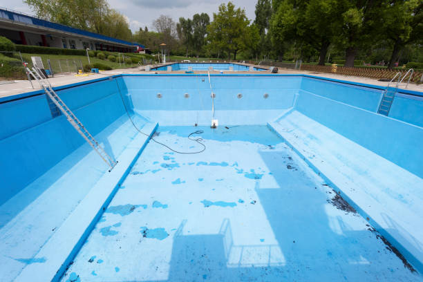 Best Carpet water damage restoration  in Coalfield, TN