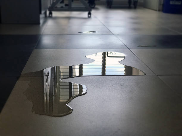 Best 24/7 water damage repair  in Coalfield, TN