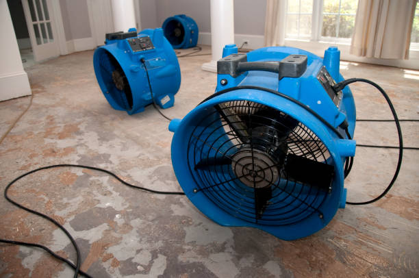 Best Sewage cleanup and water damage restoration  in Coalfield, TN