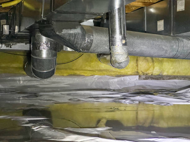 Best Water damage restoration near me  in Coalfield, TN