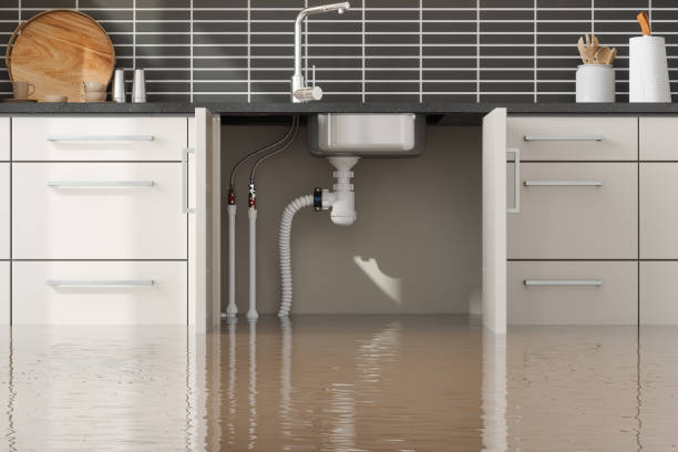 Best Flood restoration services  in Coalfield, TN